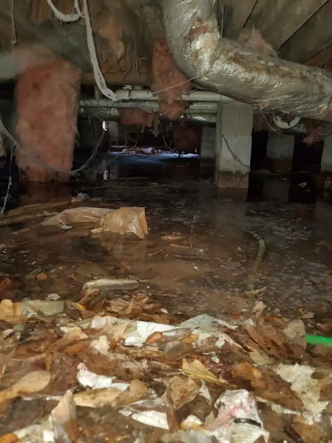 Crawl space flood assessment for Leak Detection & Repair in Manhattan